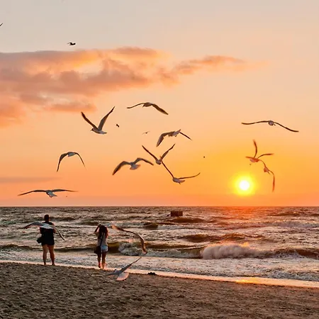 Nadbrzezna 106d36 Lägenhet