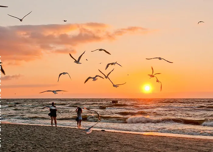 Nadbrzezna 106d36 Apartamento